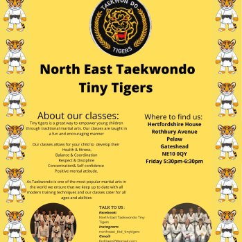 North East Taekwondo Tiny Tigers