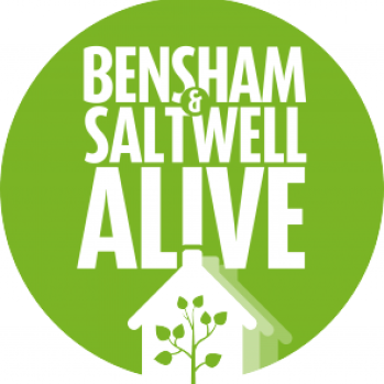 Bensham and Saltwell Alive Logo