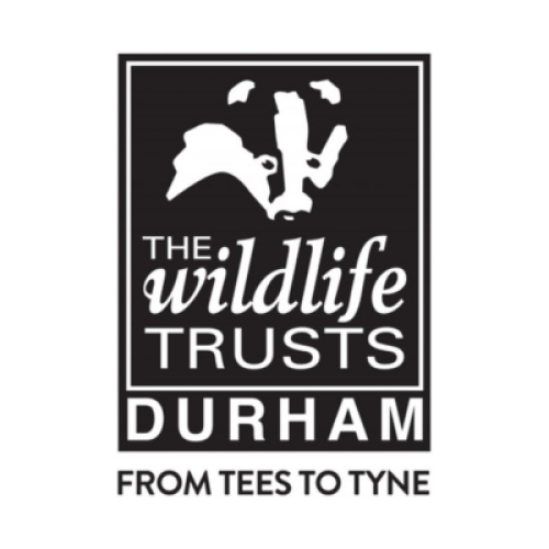 Durham Wildlife Trust (Gateshead)