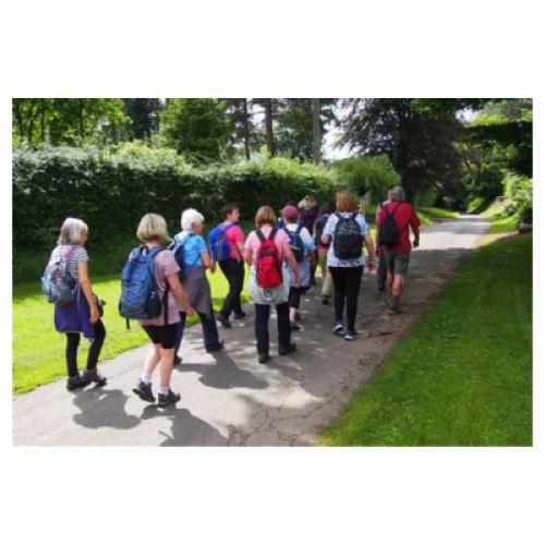 Group of People Walking 