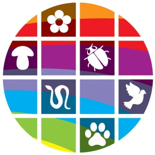 ERIC North East logo