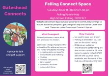 A poster for Felling Connects 