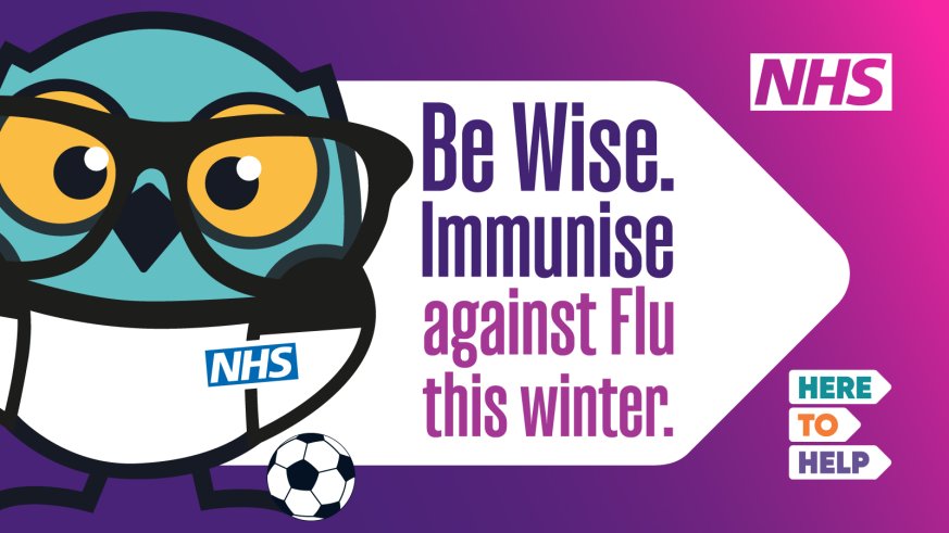 Be Wise Immunise Owl