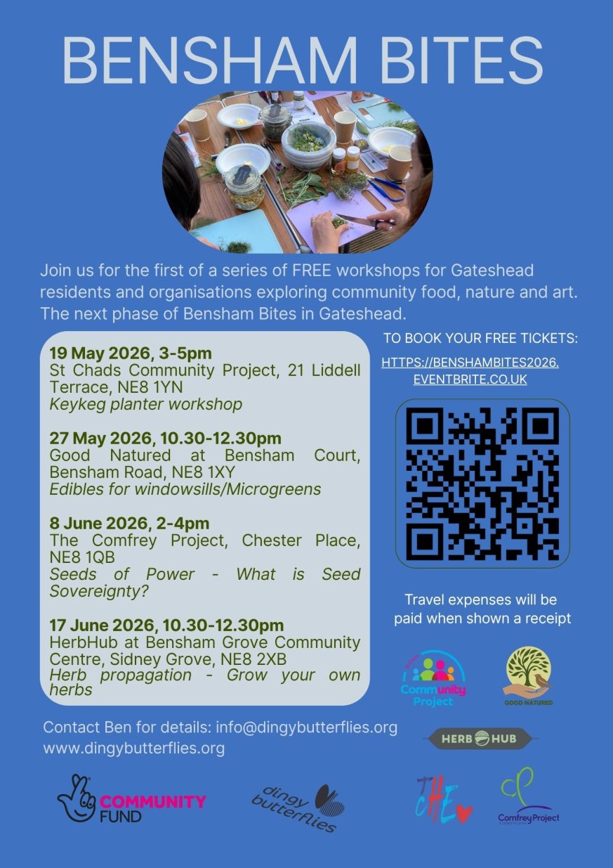 Bensham Bites free workshops