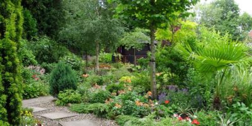 Whickham Hermitage Community Garden summer garden. Plants greenery and pathway