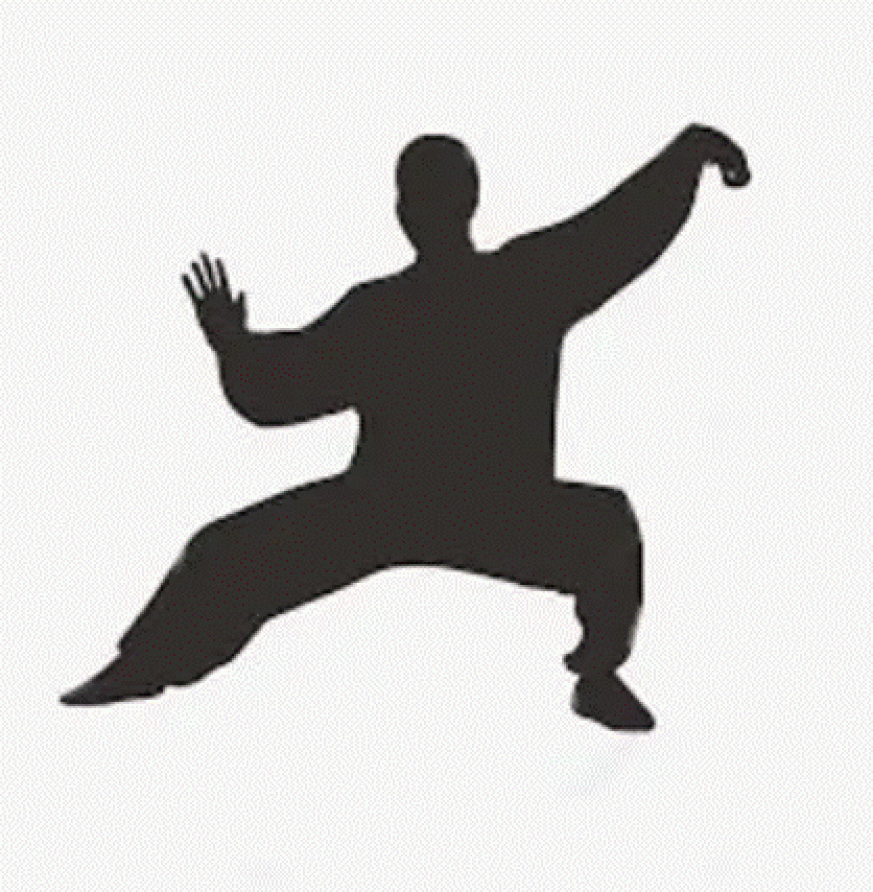 a silhouette of a person in a Tai Chi position 