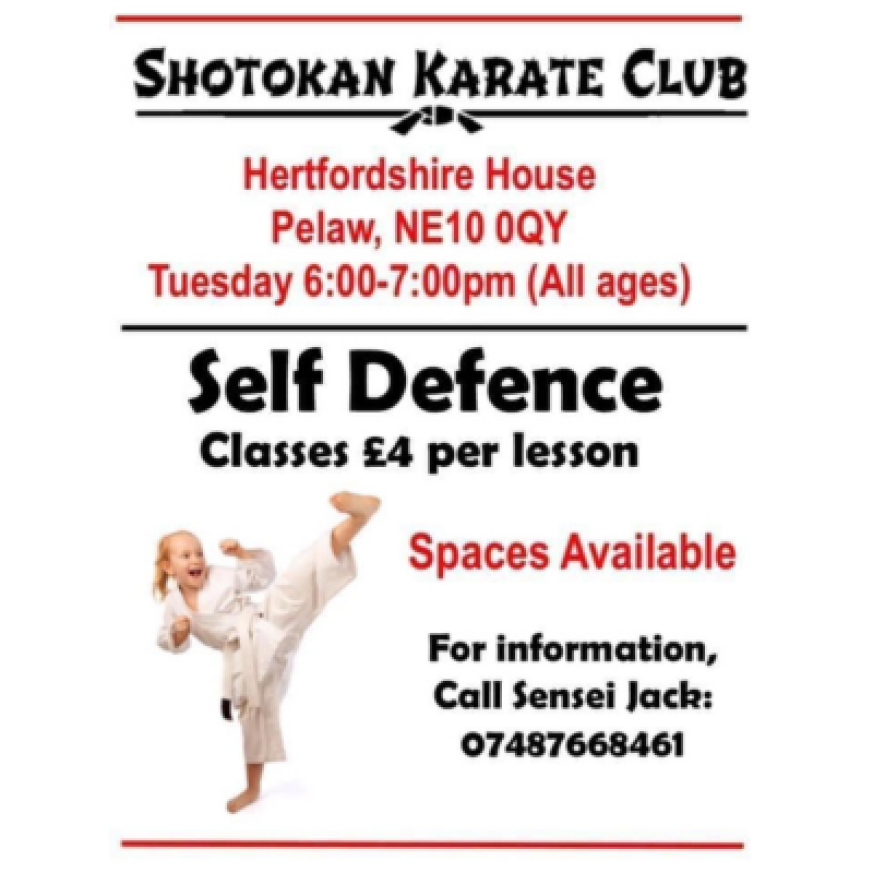Girl doing high kick - text reads: Spaces available. For more info call Sensei Jack