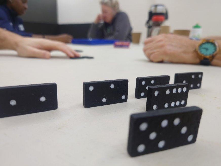 Image shows dominos