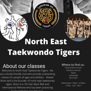 Taekwondo Tigers