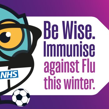 Be Wise Immunise Owl