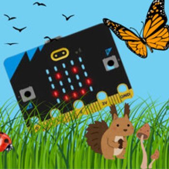 Great To Be Green Coding