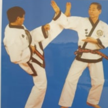 2 men taking part in martial arts activities