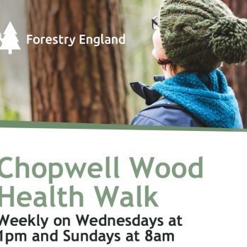 Poster advertising the Chopwell woods walks