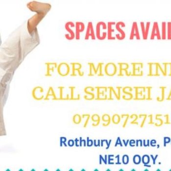 Girl doing high kick - text reads: Spaces available. For more info call Sensei Jack