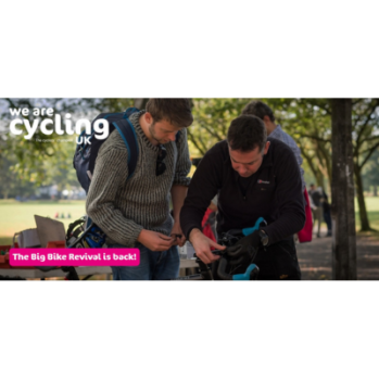 Man helping someone fix with their bike in a sunny park