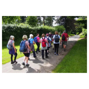 Group of People Walking 