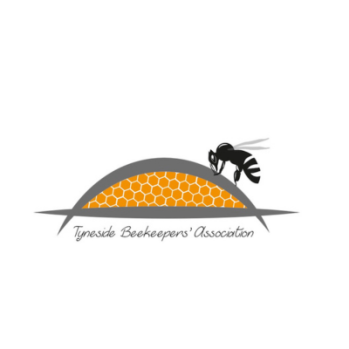 Logo of a single bee landing on honeycomb