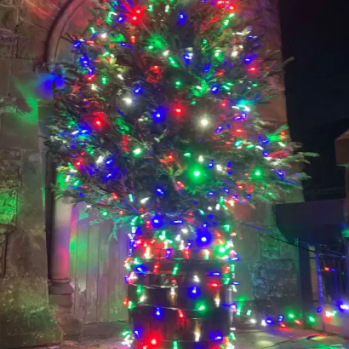 A Christmas Tree That Christmas for Ryton put up