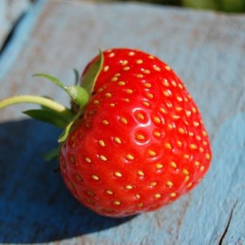 close up of a strawberry on a blue wooden bench