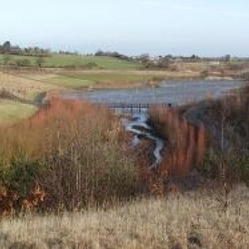 Image of park with tall grass and a small lake surrounded by fields.